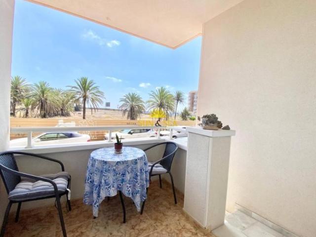 Apartamento en alquiler en Torrevieja, Urbanización Villa Vicenta