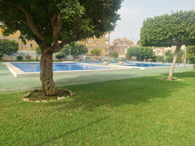 Apartamento en alquiler en Torrevieja, Alicante