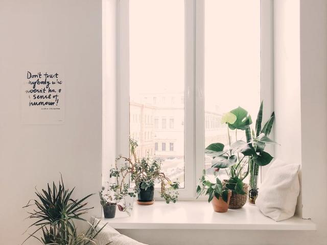 Apartamento en arriendo en Pitalito, Huíla