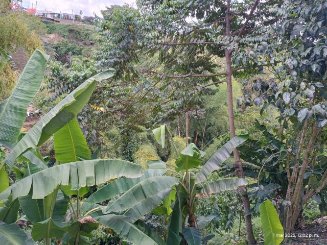 Apartamento En Arriendo En Pereira En Cuba A317165
