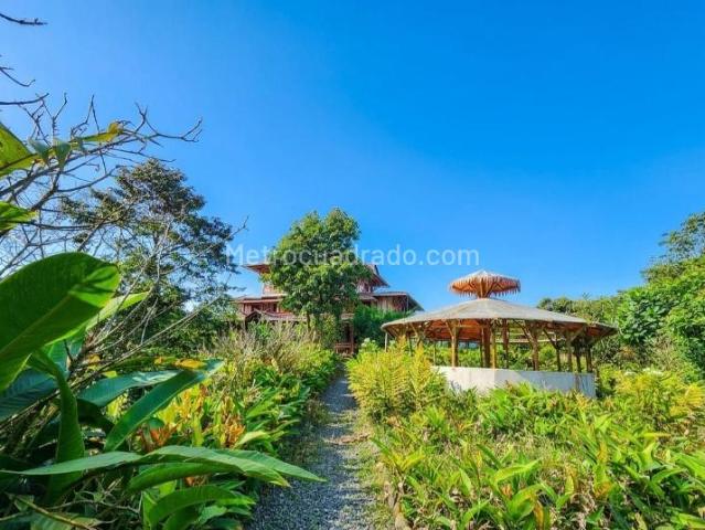 Apartamento en arriendo en Quindío