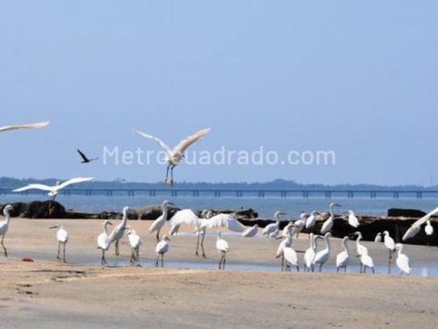 Apartamento en arriendo en Magdalena
