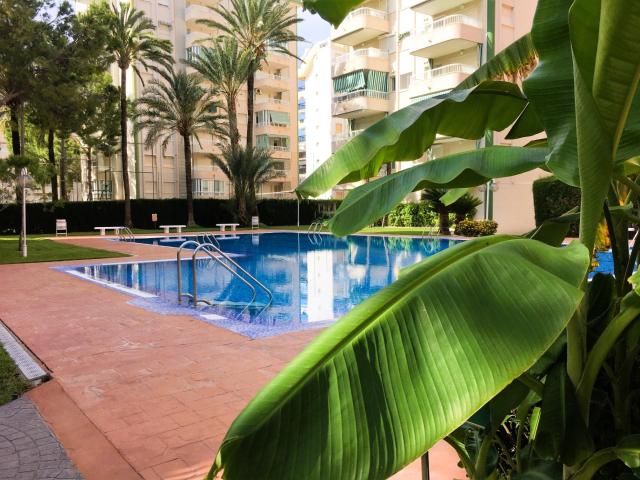 Piso en alquiler en Gandía, el Grau de Gandia