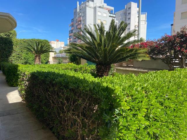 Piso en alquiler en Gandía, el Grau