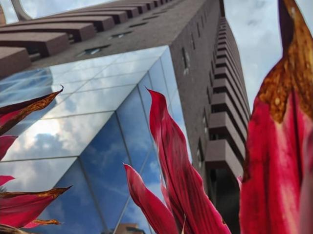 Apartamento en venta en La Trigaleña, Valencia