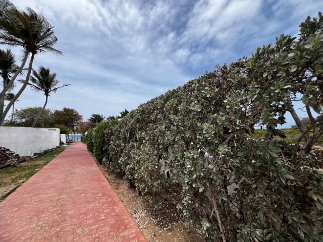 Apartamento en venta en Nueva Esparta