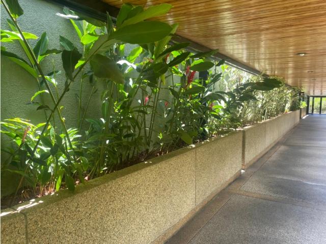 Apartamento en venta en Boca De Uchire, Miranda