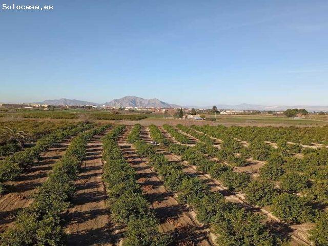 Piso en venta en el Baix Segura / La Vega Baja, Valencia