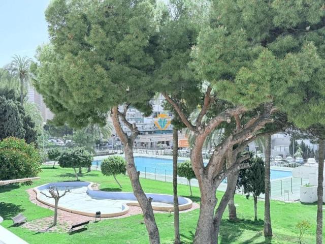 Estudio en venta en Benidorm, Els Tolls - Imalsa
