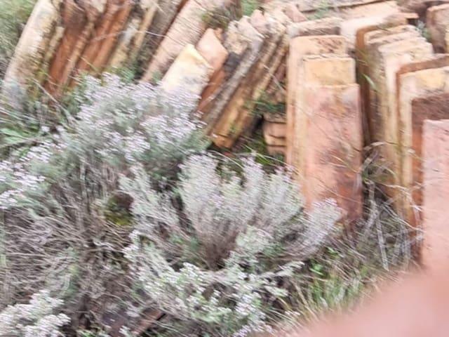 Casa Rural en venta en Baix Ebre, Catalunya