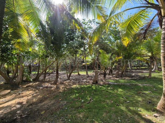 Apartamento en Venta en Colon, Colón