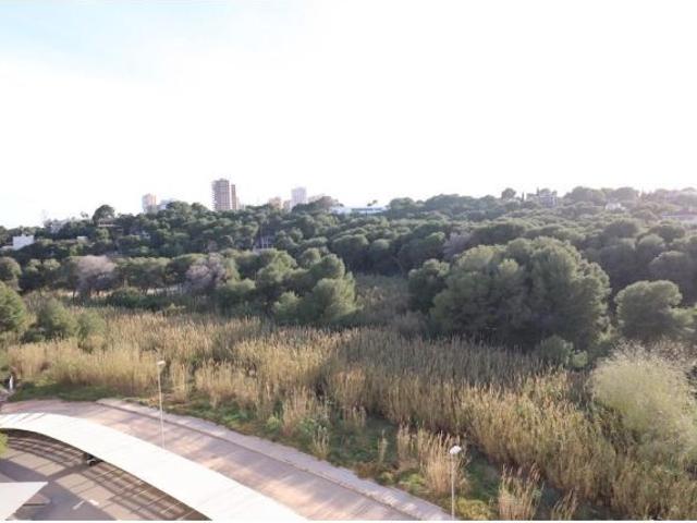 Piso en venta en Dehesa de Campoamor, el Baix Segura / La Vega Baja