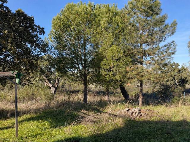 Apartamento en venta en Santiago, Cáceres