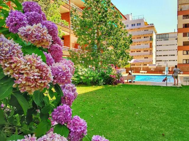 Apartamento en venta en Lloret De Mar