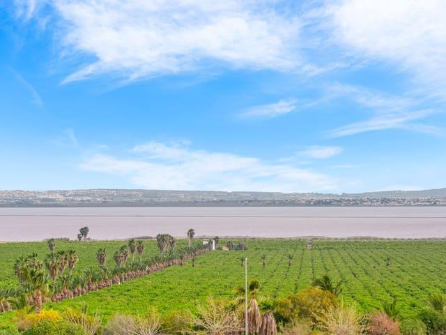 Apartamento en venta en Urbanización la Florida, el Baix Segura / La Vega Baja