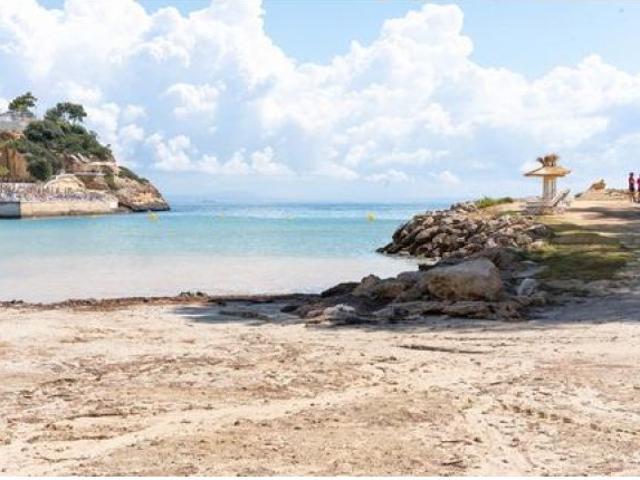 Piso en venta en Magaluf, Torrenova