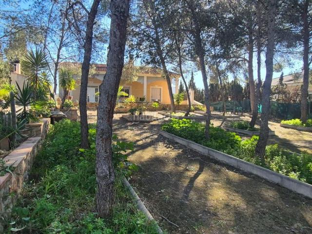 Apartamento en venta en Torrealta, Vega Media del Segura