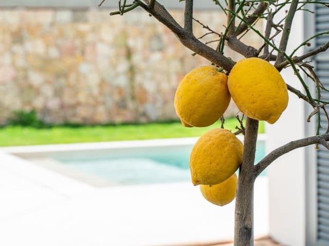 Apartamento en venta en Can Pastilla, Palma