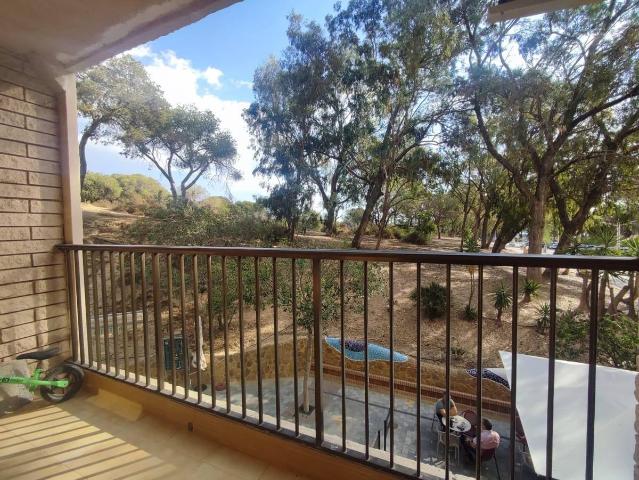 Apartamento en venta en el Baix Segura / La Vega Baja, Valencia