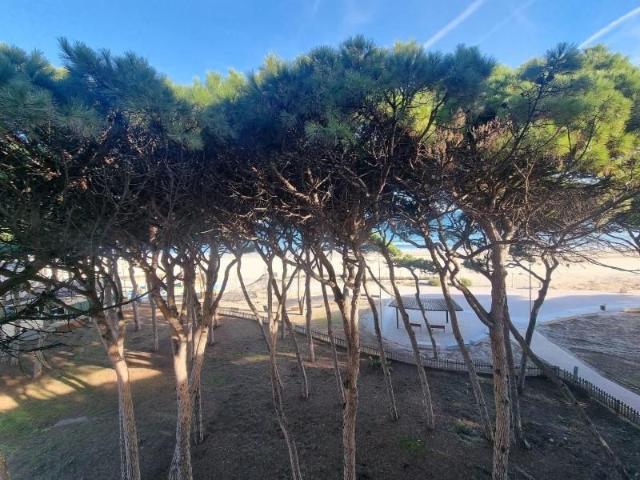 Apartamento en venta en la Pineda, Tarragonès