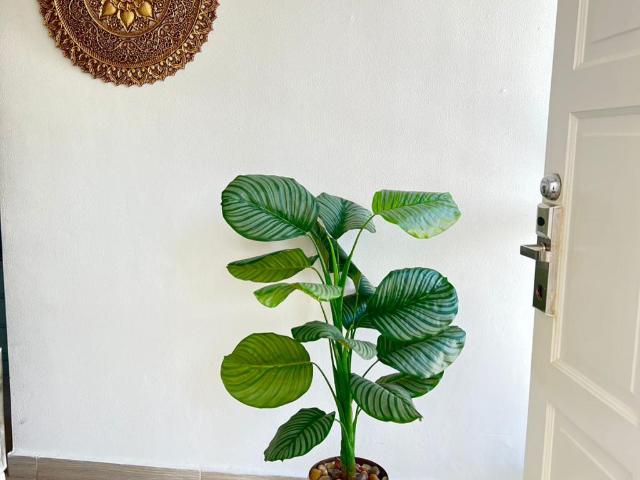 Apartamento En Venta En San Andres Y Providencia En. V184565