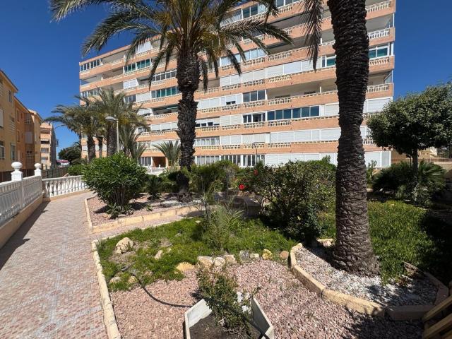 Estudio en venta en La Mata, el Baix Segura / La Vega Baja