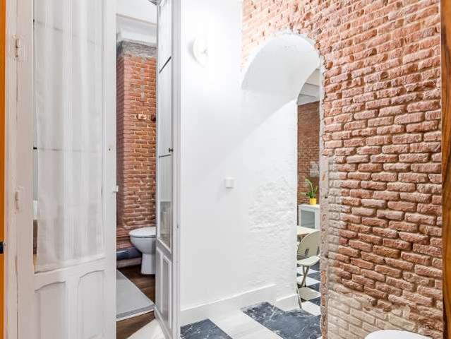 Estudio en alquiler en Madrid, Embajadores