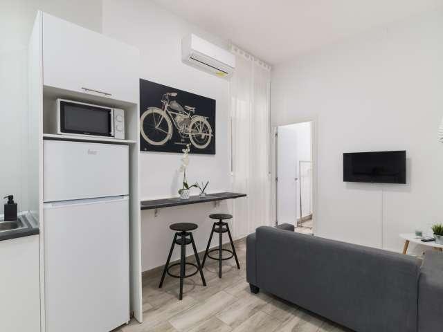 Estudio en alquiler en Madrid, Universidad