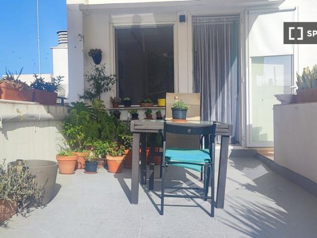 Estudio en alquiler en Cádiz, Mentidero