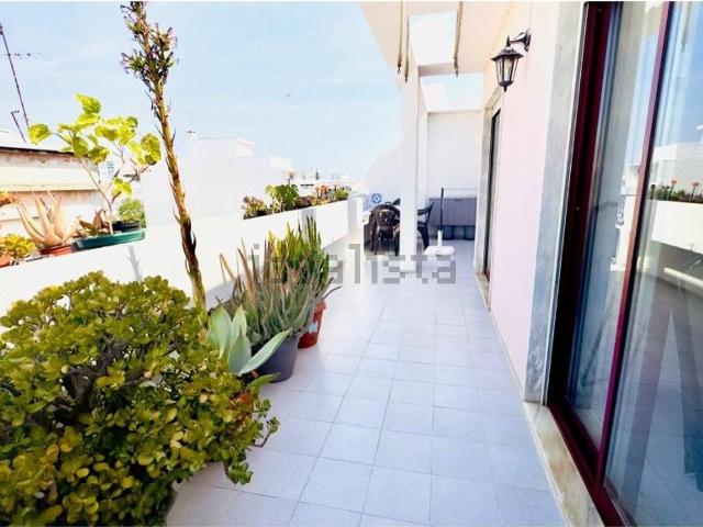 Apartamento venda em Faro