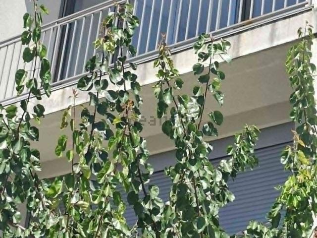 Apartamento alugar em Foz do Sousa e Covelo, Gondomar