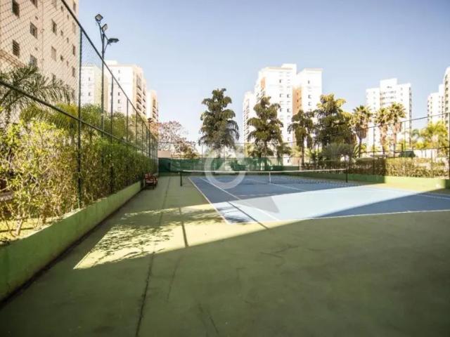 Apartamento aluguel em Região Imediata de Campinas, Região Metropolitana de Campinas