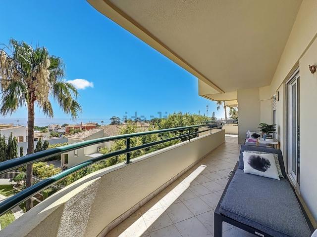 Apartamento venda em Guia, Galé
