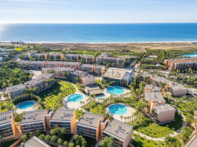 Apartamento venda em Guia, Guia