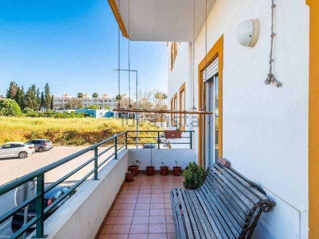 Apartamento venda em Guia, Barrancos