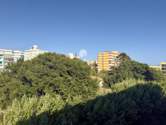 Piso en alquiler en Torre del Mar, La Axarquía