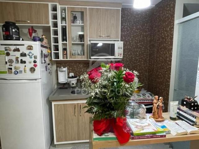 Apartamento venda em Condomínio Residencial Terra Nova Green Life 1 e 2, São José do Rio Preto