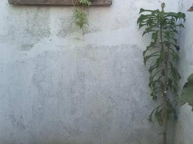 Apartamento aluguel em Região Geográfica Imediata de Valença, Paty do Alferes