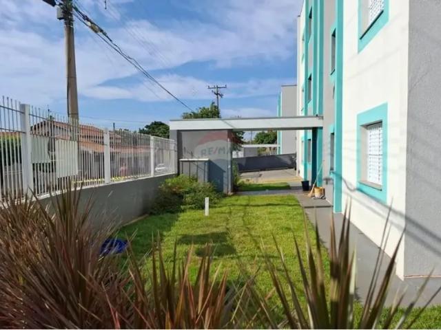 Apartamento aluguel em Região Imediata de Campinas, Região Metropolitana de Campinas