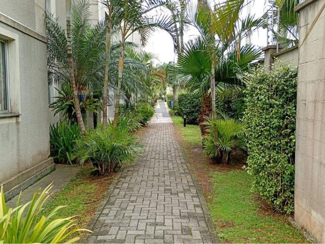 Apartamento aluguel em Pinheirinho, Curitiba
