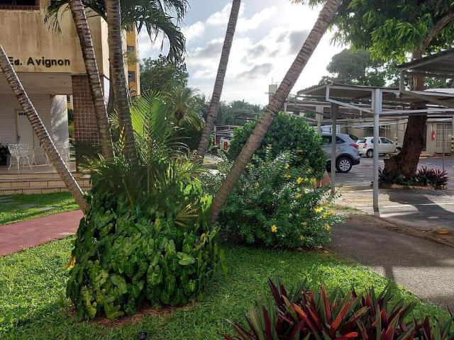 Apartamento aluguel em Vila União, São Luís