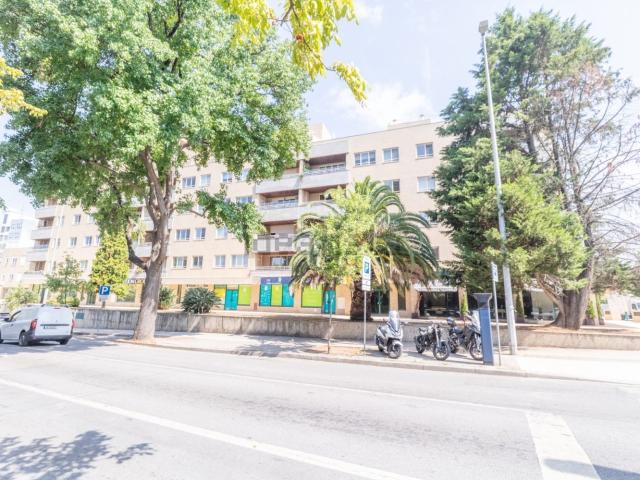 Apartamento alugar em Porto, Lordelo Do Ouro