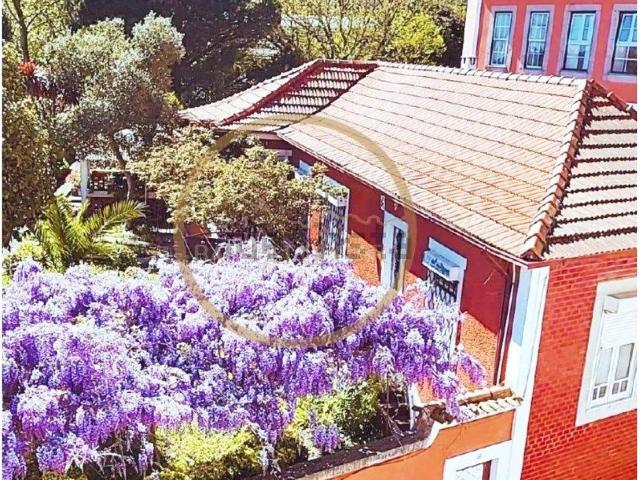 Apartamento venda em Porto, Lordelo Do Ouro