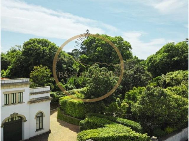 Apartamento venda em Porto, Lordelo Do Ouro