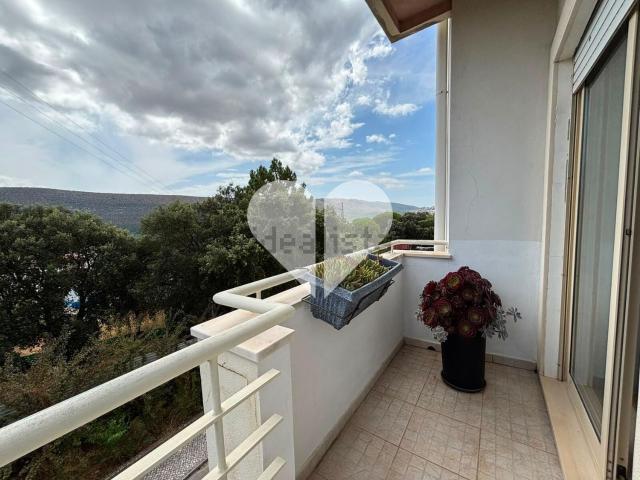 Apartamento venda em Alcanena, Santarém