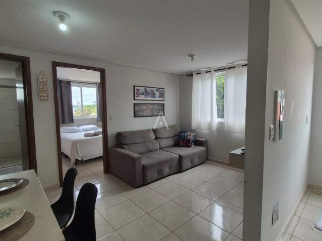 Apartamento aluguel em Região Geográfica Imediata de Cascavel, Cascavel