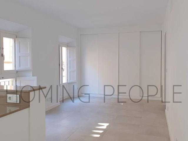 Apartamento en alquiler en Centro, Málaga-Costa del Sol