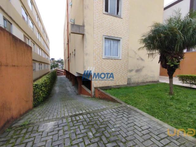 Apartamento aluguel em Região Geográfica Imediata de Curitiba, Região Metropolitana de Curitiba