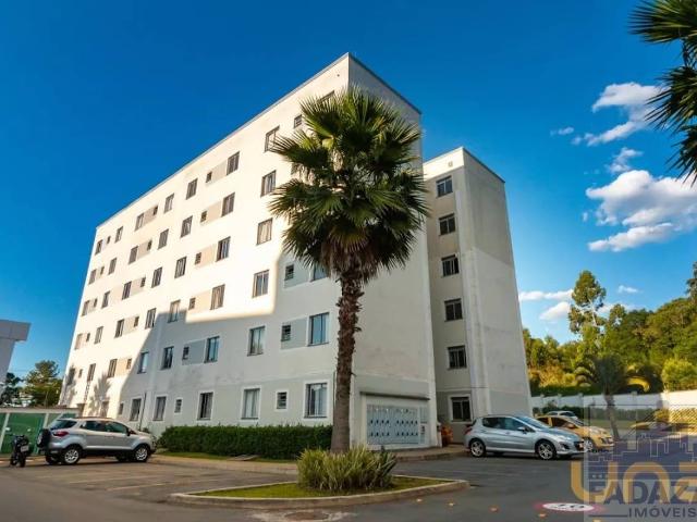Apartamento aluguel em Pinheirinho, Curitiba