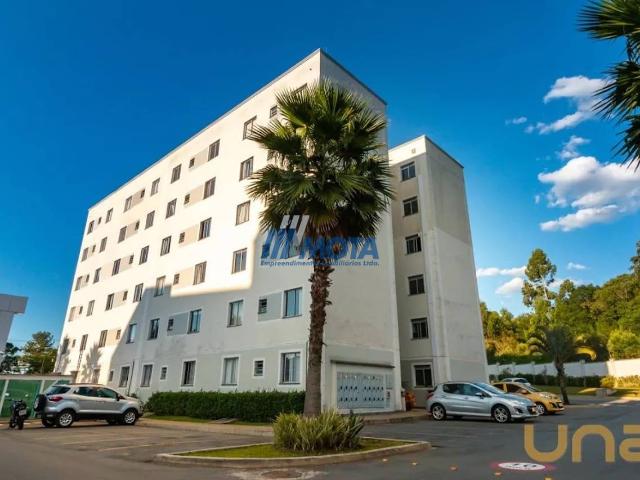 Apartamento aluguel em Pinheirinho, Curitiba